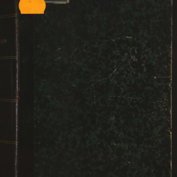 mf3764.jpg